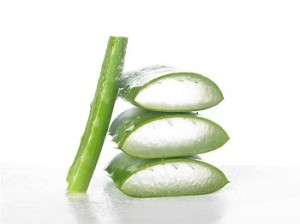 Aloe Vera for High Blood Pressure