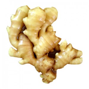 Ginger Root for Treating Sprain
