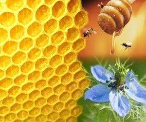 Honey as a Home Remedy for Bladder Infection