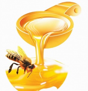 Honey to Protect Hair Loss