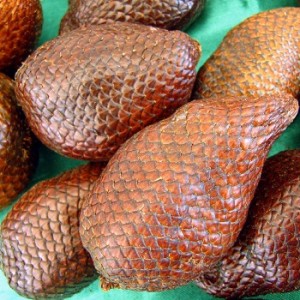 Treat Hemorrhoid with Zalacca Edulis Leaf