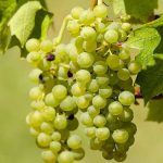 7 Simple Methods to Detox Your Body