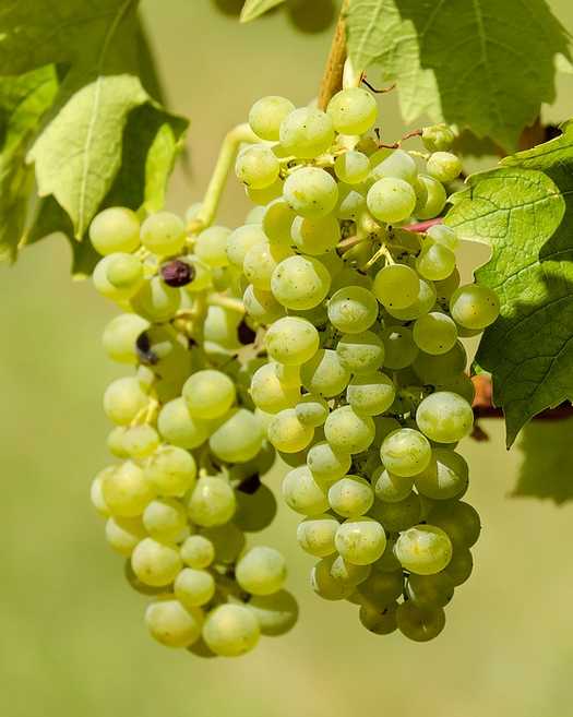 7 Simple Methods to Detox Your Body