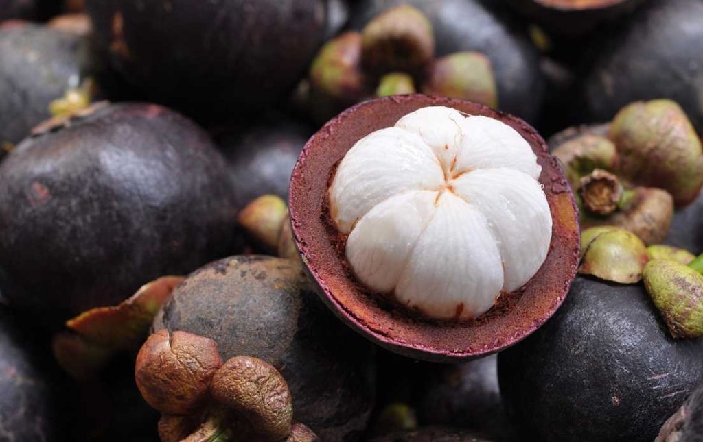 Consume Mangosteen Peel Juice to Cure Cholesterol and Prevent Cancer