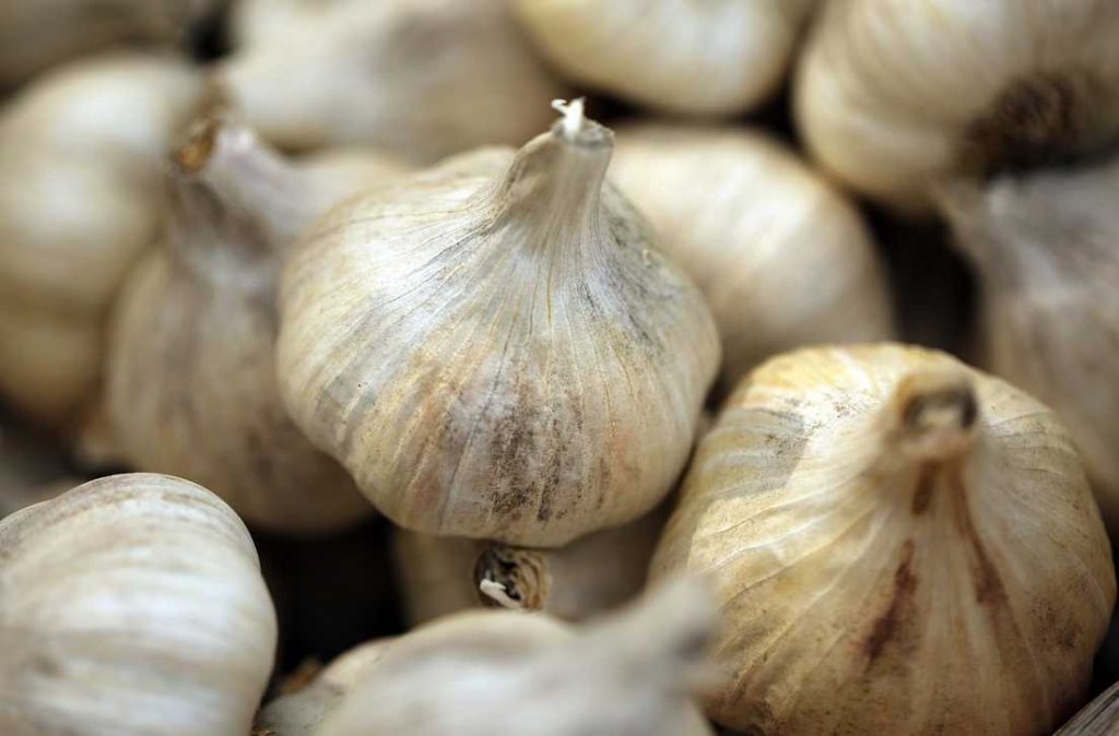 Garlic and Spinach Juice to Cure Digestive System