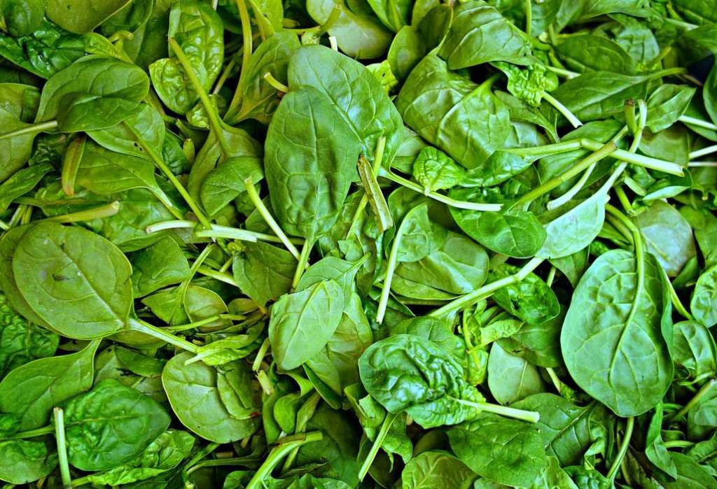 Spinach to Cure Digestive System