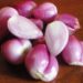 Get Your Cholesterol Level Down with Onion