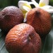 Salak Fruit for Diet and Diarrhea Remedy
